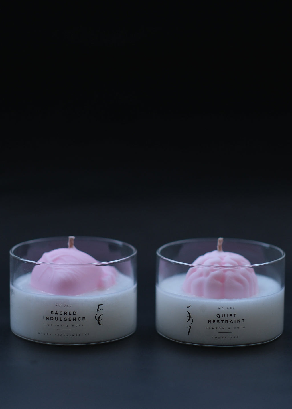 Reason & Ruin - Fragrance Candle
